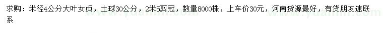 求購米徑4公分大葉女貞
