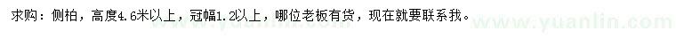 求購高4.6米以上側(cè)柏