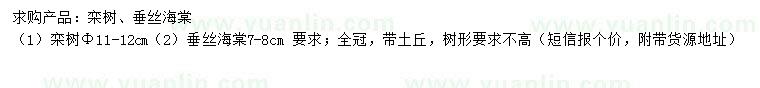 求購11-12公分欒樹、7-8公分垂絲海棠