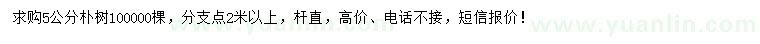 求購5公分樸樹