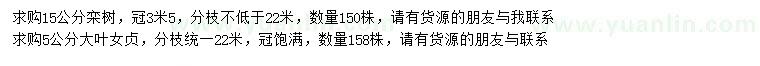 求購(gòu)15公分欒樹、5公分大葉女貞