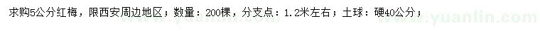 求購5公分紅梅