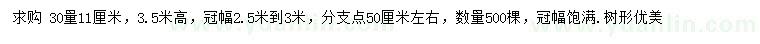 求購30量11公分紅葉李