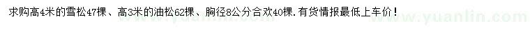 求購雪松、油松、合歡