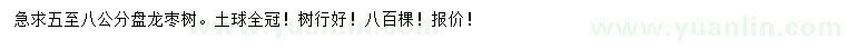 求購5-8公分盤龍棗樹