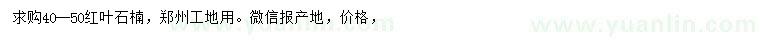 求購40-50公分紅葉石楠