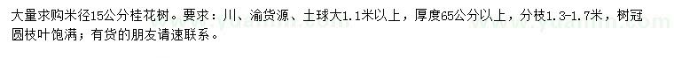 求購米徑15公分桂花樹