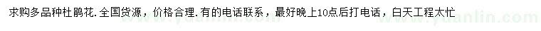求購多品種杜鵑花