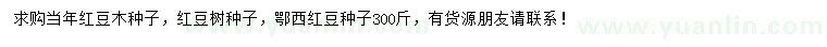 求購紅豆木種子、紅豆樹種子、鄂西紅豆種子