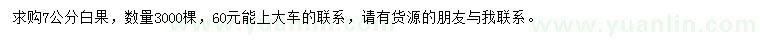 求購7公分白果