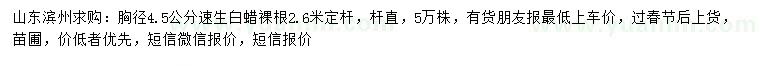 求購(gòu)胸徑4.5公分速生白蠟