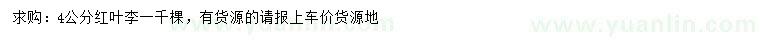 求購4公分紅葉李