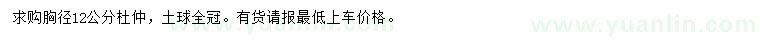 求購(gòu)胸徑12公分杜仲