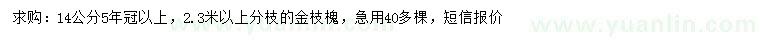 求購14公分金枝槐