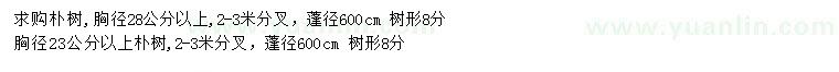 求購胸徑28公分以上樸樹、胸徑23公分以上樸樹