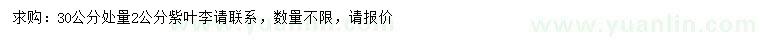 求購30公分處量2公分紫葉李