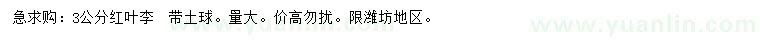 求購3公分紅葉李