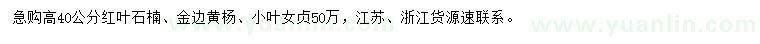 求購紅葉石楠、金邊黃楊、小葉女貞