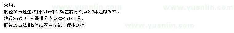 求購速生法桐、紅葉李、法桐