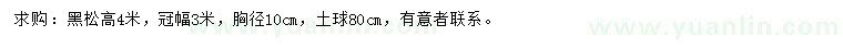 求購高4米黑松