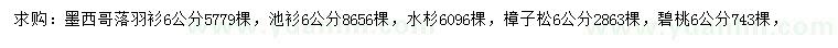 求購(gòu)墨西哥落羽衫、池衫、水杉等