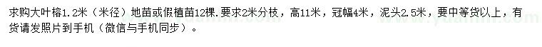 求購米徑1.2米大葉榕