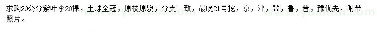 求購(gòu)20公分紫葉李