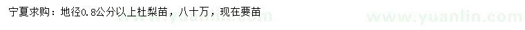 求購地徑0.8公分以上杜梨苗