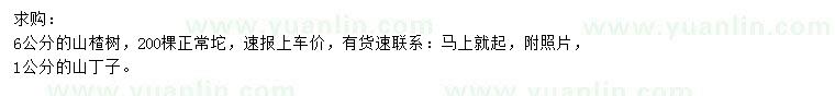 求購6公分山楂樹、1公分山丁子