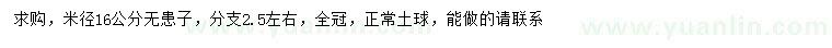 求購米徑16公分無患子