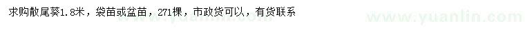 求購(gòu)1.8米散尾葵