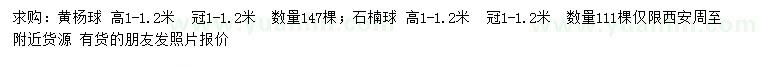 求購高1-1.2米黃楊球、石楠球