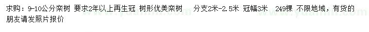求購9-10公分欒樹