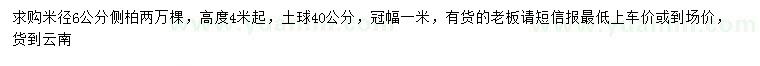 求購米徑6公分側柏