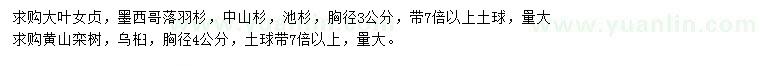 求購大葉女貞、墨西哥落羽杉、中山杉等、