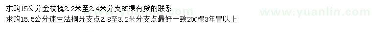 求購(gòu)15公分金枝槐、15.5公分速生法桐