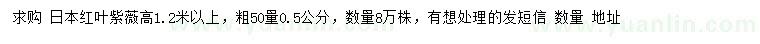 求購高1.2米以上日本紅葉紫薇