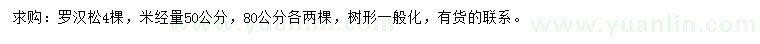 求購米徑50、80公分羅漢松