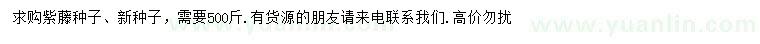 求購紫藤種子