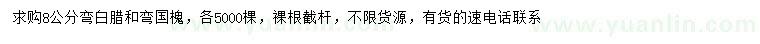 求購8公分彎白臘、彎國槐