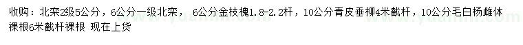 求購北欒、金枝槐、青皮垂柳等