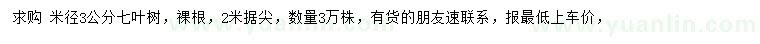 求購米徑3公分七葉樹