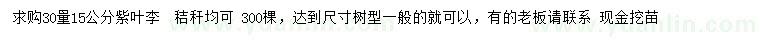 求購30量15公分紫葉李