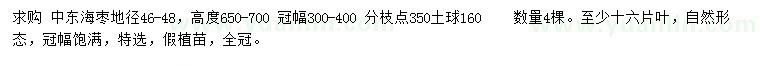 求購地徑46-48公分中東海棗
