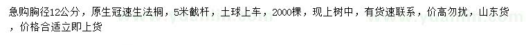 求購胸徑12公分速生法桐