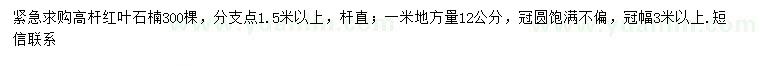 求購(gòu)1米量12公分紅葉石楠