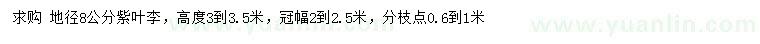 求購(gòu)地徑8公分紫葉李