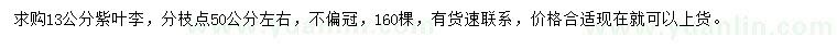 求購13公分紫葉李