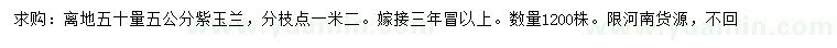 求購(gòu)離地50量5公分紫玉蘭