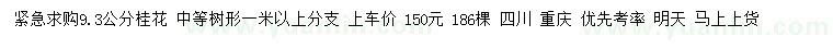 求購9.3公分桂花
